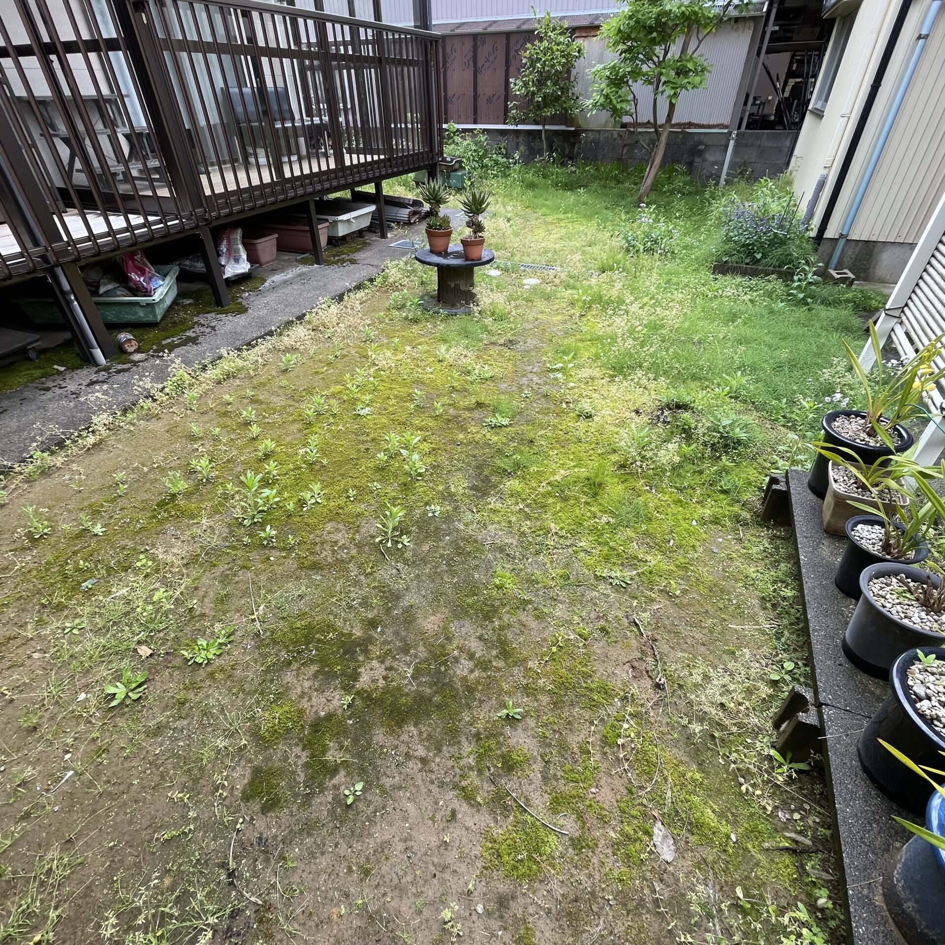 工事前のお庭