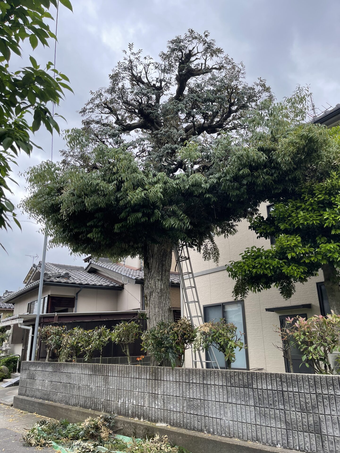 作業中