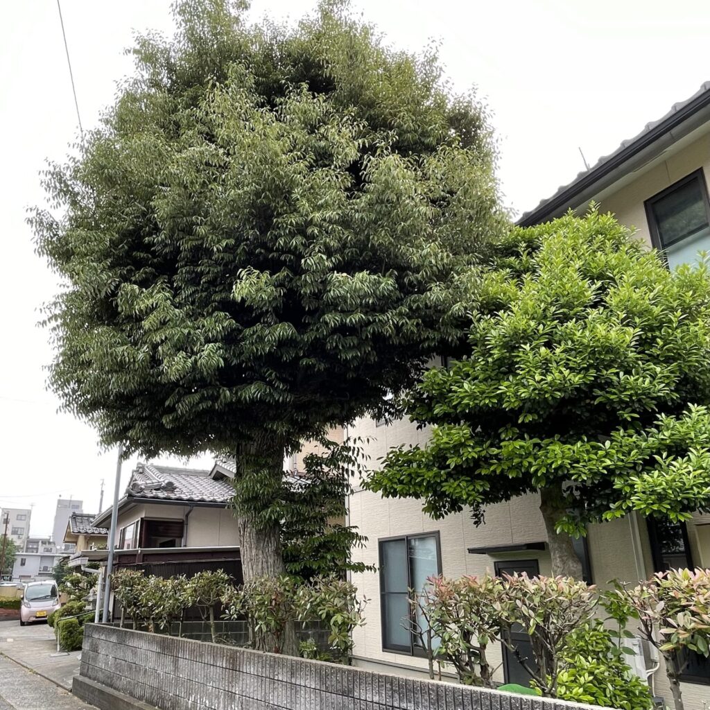 施工前